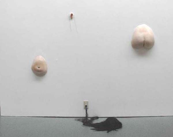 ��i�S�̂̎ʐ^