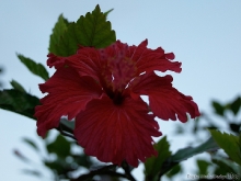 2010_02_28_04
