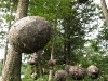 2009_08_08_50