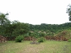 2009_08_08_62        