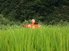 2009_08_09_11    