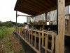 2009_08_09_30   