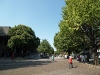 2009_10_16_001