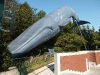 2009_10_16_065        
