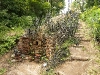 2009_08_08_16 2009_08_08_16