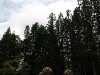 2009_08_08_23 2009_08_08_23