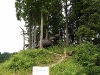 2009_08_08_49 2009_08_08_49