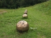 2009_08_08_57 2009_08_08_57