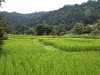 2009_08_09_10 2009_08_09_10