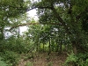 2009_08_09_15 2009_08_09_15