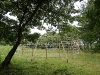 2009_08_09_41 2009_08_09_41