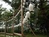 2009_08_09_43 2009_08_09_43