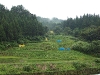 2009_08_09_56 2009_08_09_56