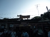 2009_08_17_07 2009_08_17_07