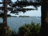 2009_08_17_08 2009_08_17_08