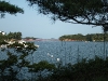 2009_08_17_09 2009_08_17_09