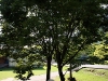 2009_08_11_10 2009_08_11_10