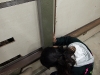 2009_11_17_10 2009_11_17_10