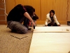 2009_11_30_03 2009_11_30_03