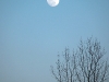 2010_01_29_moon_01 2010_01_29_moon_01