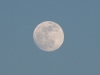 2010_01_29_moon_02 2010_01_29_moon_02