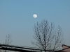 2010_01_29_moon_03 2010_01_29_moon_03