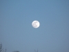 2010_01_29_moon_04 2010_01_29_moon_04