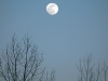 2010_01_29_moon_05 2010_01_29_moon_05