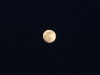 2010_01_29_moon_06 2010_01_29_moon_06