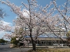 2010_04_03_35 2010_04_03_35