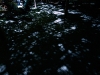 2010_08_27_04 2010_08_27_04