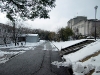 2011_01_17_01 2011_01_17_01