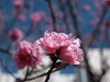2011_03_27_11 2011_03_27_11