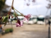 2012_04_14_11 2012_04_14_11