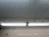 2012_05_18_05 2012_05_18_05