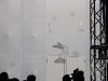 img_1716 img_1716