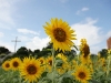 2013_08_05_10 2013_08_05_10