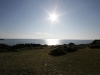 img_7214 img_7214