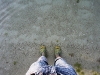 img_7265 img_7265