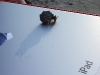 img_7269 img_7269
