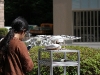 img_0900 img_0900