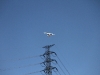 img_0914 img_0914