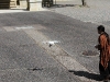 img_0950 img_0950