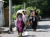 img_1060 img_1060
