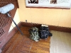 img_1084 img_1084