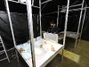 img_6061 img_6061
