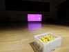 img_6451 img_6451