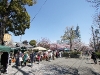 img_6638 img_6638