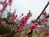 img_6783 img_6783