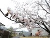 img_6793 img_6793